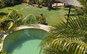 House Near Conil With A Tropical Garden And Pool